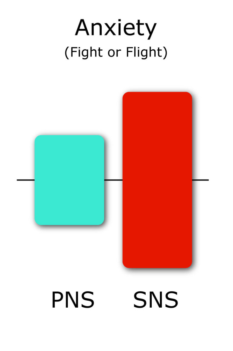 Kava For Anxiety What Does the Science Say? Kava Guides