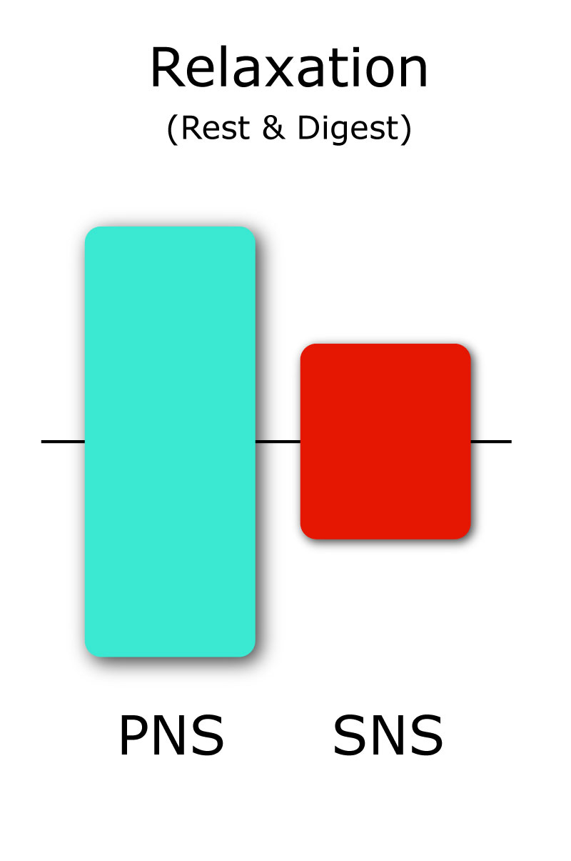 Kava For Anxiety What Does the Science Say? Kava Guides