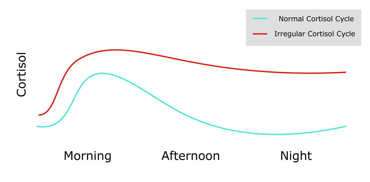 Kava For Sleep Research & Best Products for Insomnia Kava Guides