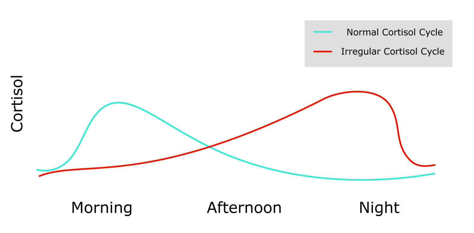Kava For Sleep Research & Best Products for Insomnia Kava Guides